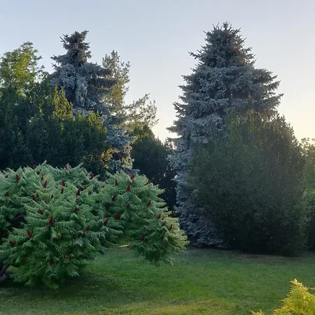 Korona étterem Panzió Nocleg ze śniadaniem