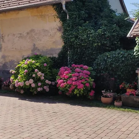 Korona étterem Panzió