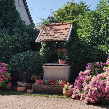 住宿加早餐酒店 Korona Panzio Balatonberény