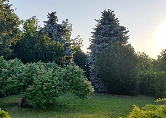 Korona Panzio Bed & Breakfast