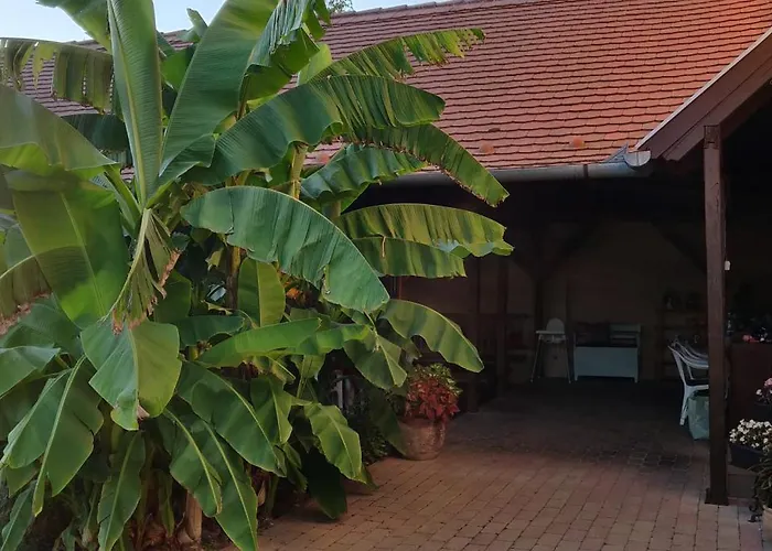 Bed & Breakfast Korona Panzio 3*