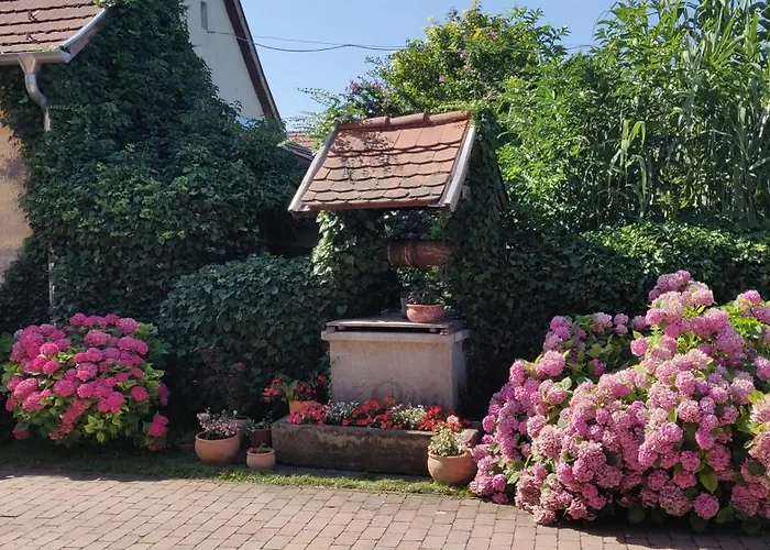 Bed & Breakfast Korona Panzio Balatonberény